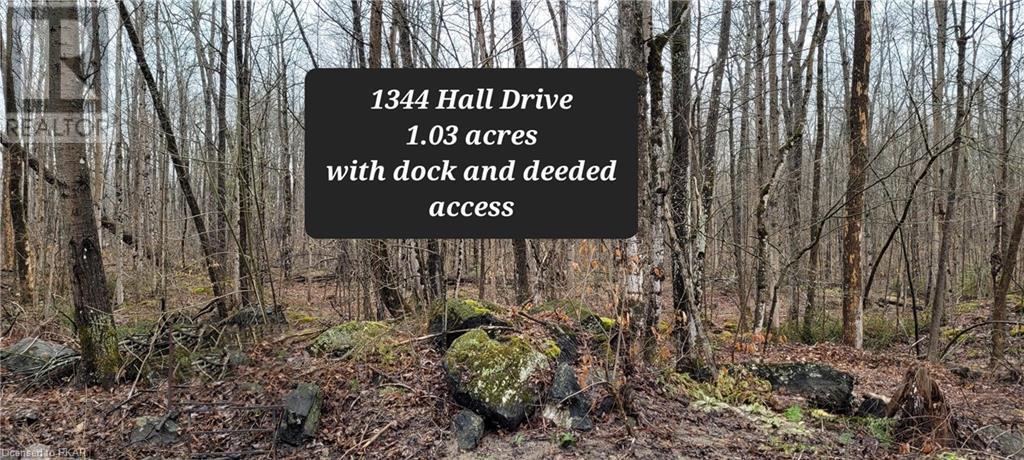1344 Hall Drive, Buckhorn, Ontario  K0L 1J0 - Photo 1 - 40241837